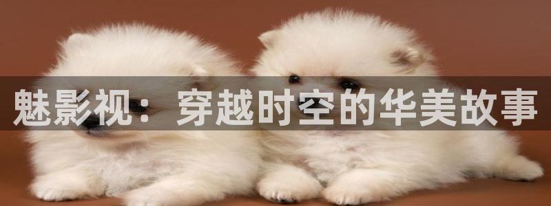 斑马 delguard：魅影视：穿越时空的华美故事