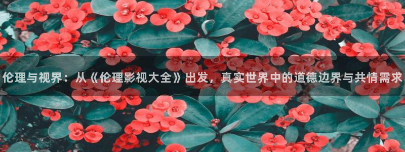 斑马 s4m：伦理与视界：从《伦理影视大全》出发，真实世界中的道德边界与共情需求