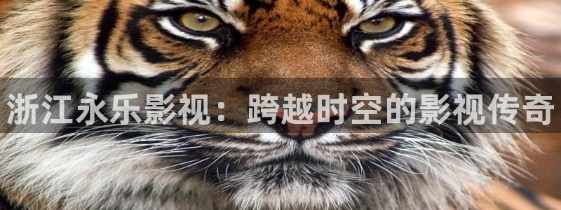 斑马视频教学：浙江永乐影视：跨越时空的影视传奇