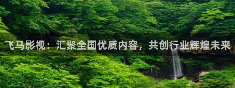 斑马系统怎么样：飞马影视：汇聚全国优质内容，共创行业辉煌未来