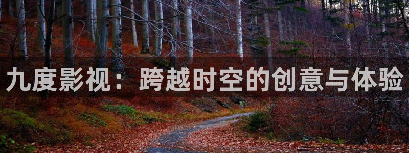 斑马blen：九度影视：跨越时空的创意与体验