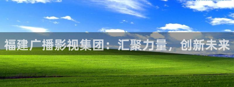 斑马100：福建广播影视集团：汇聚力量，创新未来