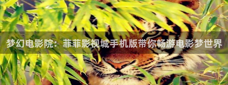 斑马ds2208：梦幻电影院：菲菲影视城手机版带你畅游电影梦世界