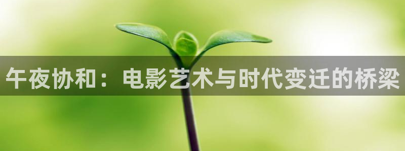 斑马140：午夜协和：电影艺术与时代变迁的桥梁