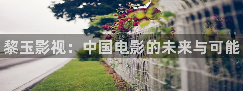 斑马班：黎玉影视：中国电影的未来与可能