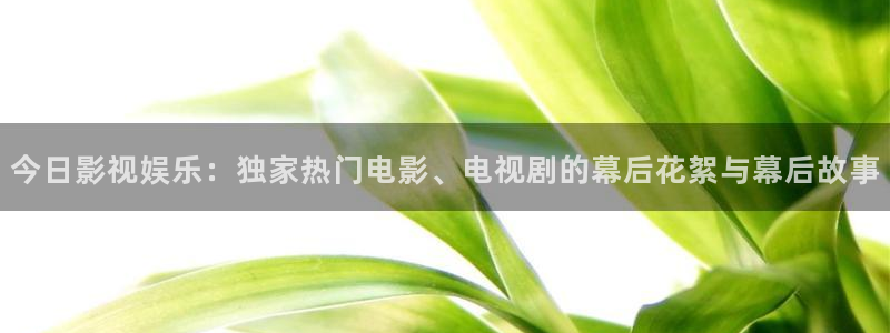 斑马li4278：今日影视娱乐：独家热门电影、电视剧的幕后花絮与幕后故事