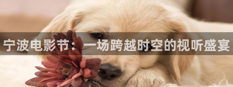 斑马z4m：宁波电影节：一场跨越时空的视听盛宴