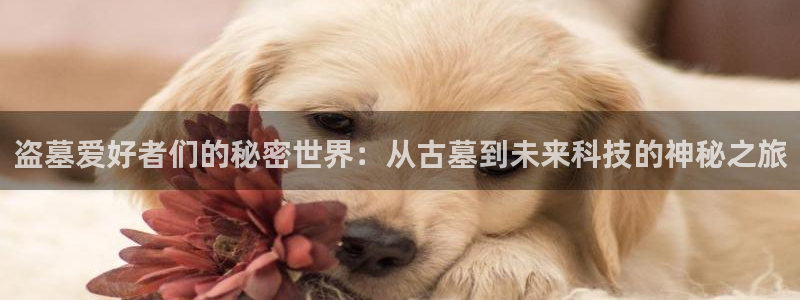 广州斑马：盗墓爱好者们的秘密世界：从古墓到未来科技的神秘之旅