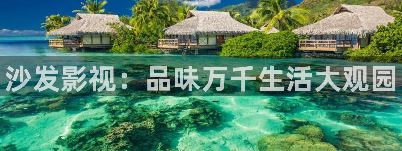 斑马电影在线观看：沙发影视：品味万千生活大观园