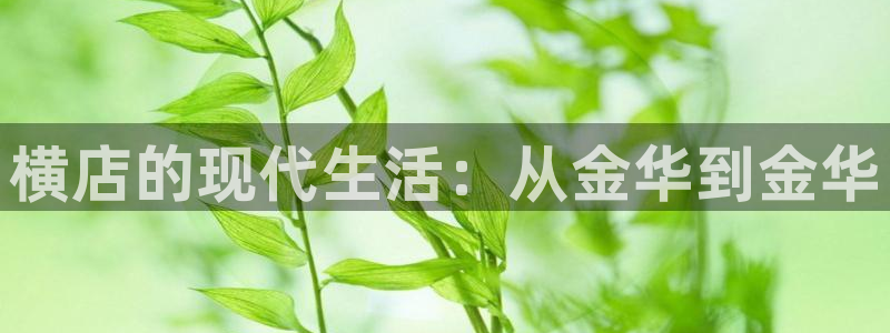 斑马日本电影：横店的现代生活：从金华到金华