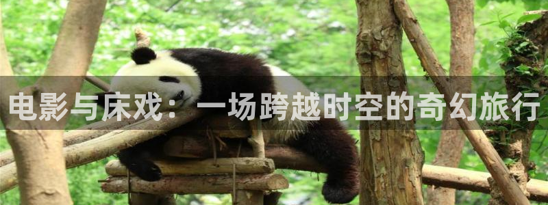 美国斑马电影街：电影与床戏：一场跨越时空的奇幻旅行