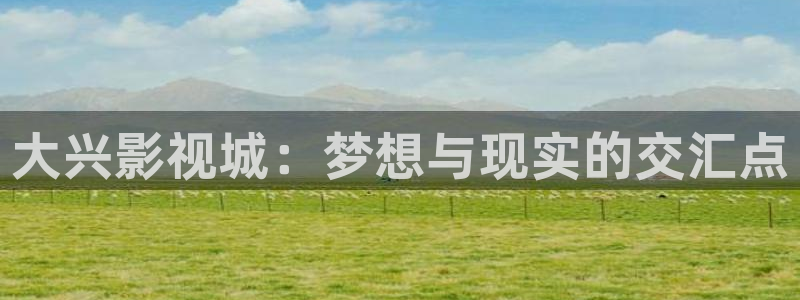 斑马视频电影免费观看动漫版：大兴影视城：梦想与现实的交汇点